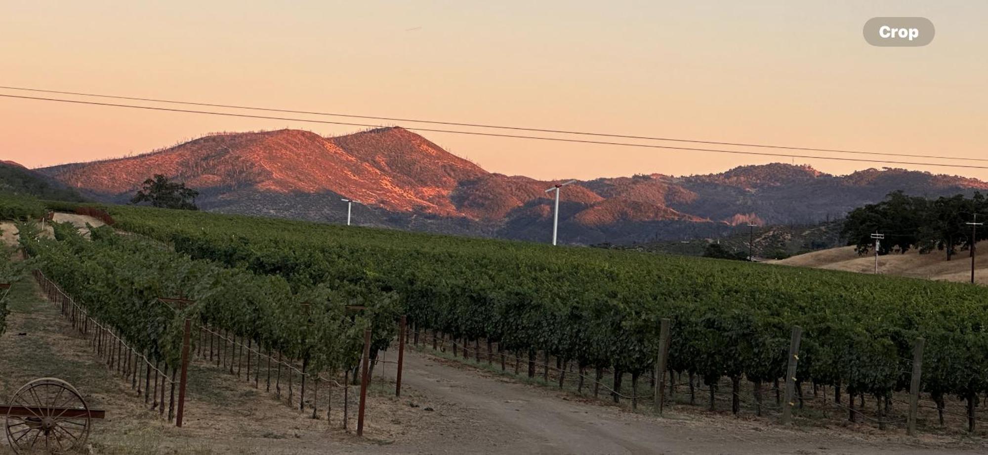 セントヘレナ Rustridge Ranch & Winery Bed & Breakfast エクステリア 写真