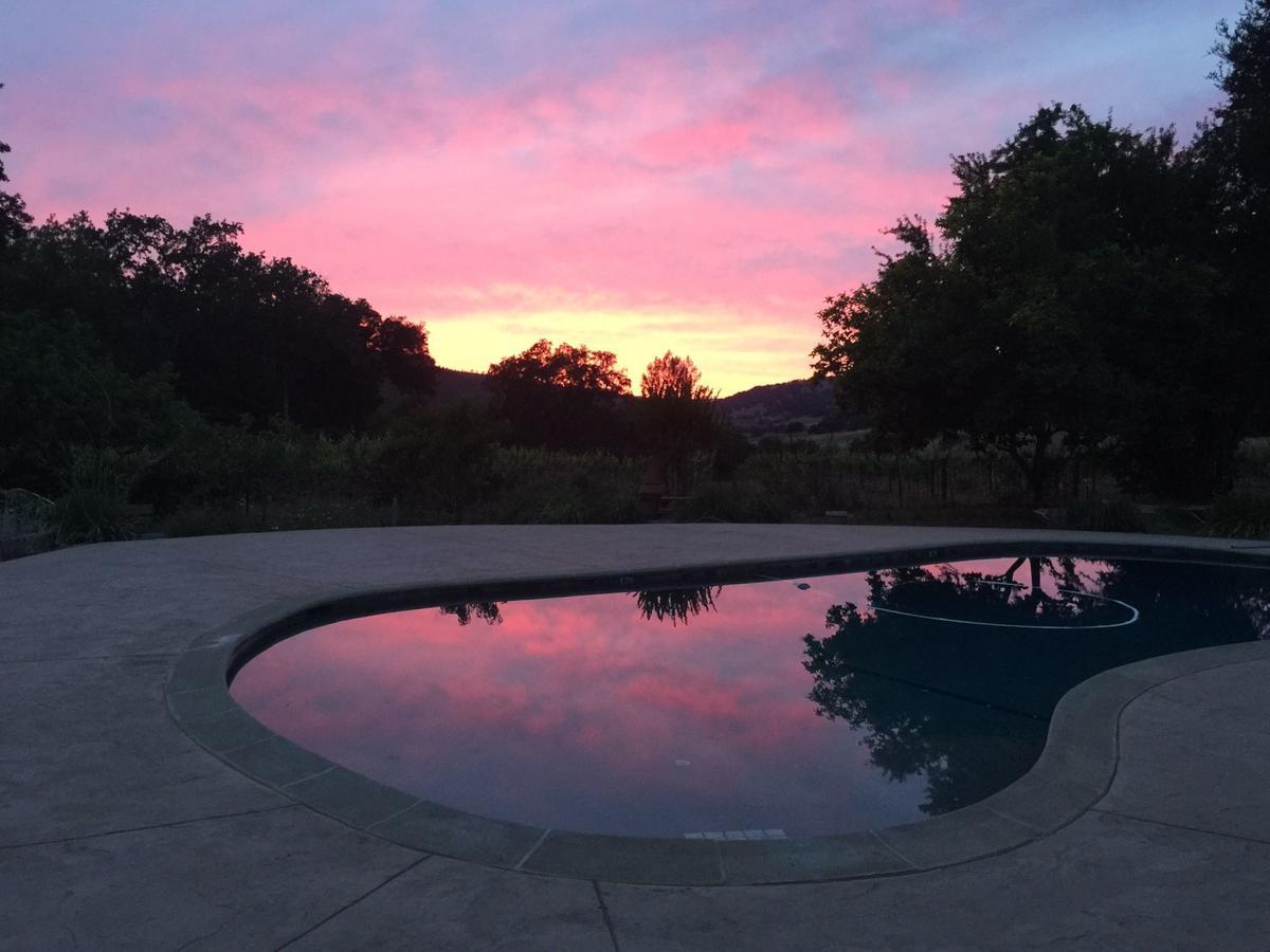 セントヘレナ Rustridge Ranch & Winery Bed & Breakfast エクステリア 写真