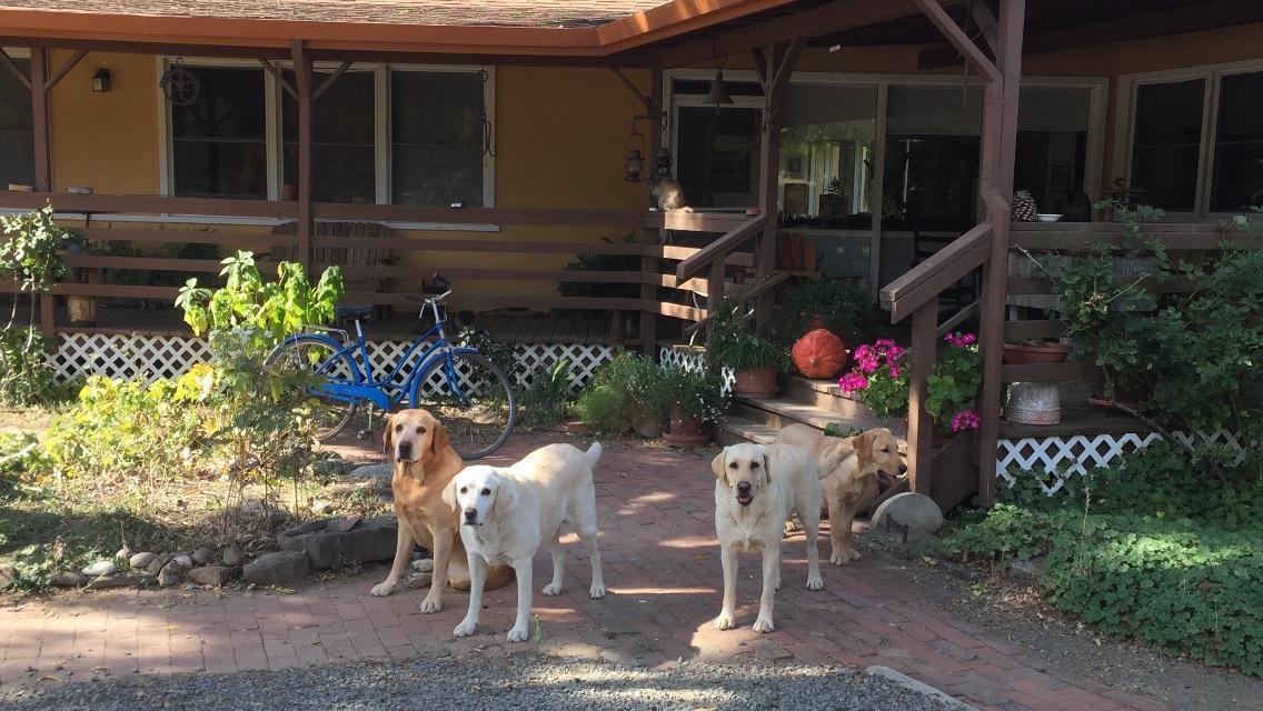 セントヘレナ Rustridge Ranch & Winery Bed & Breakfast エクステリア 写真