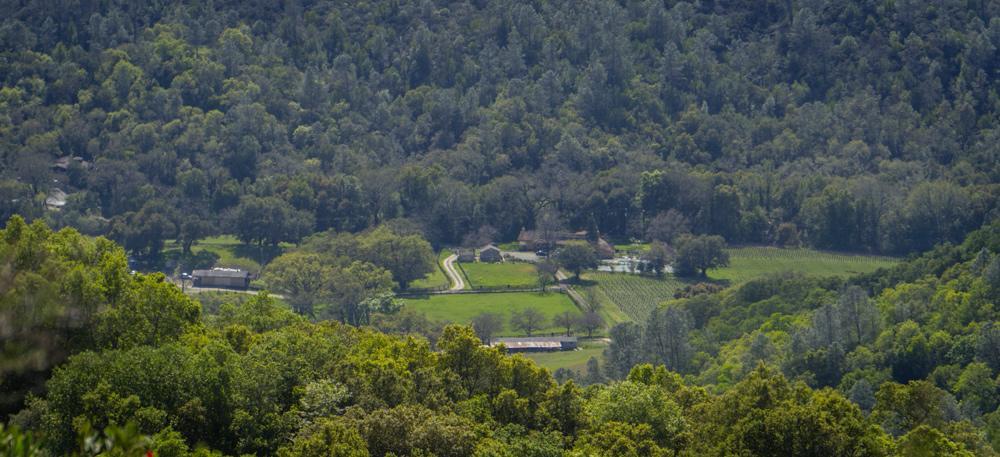 セントヘレナ Rustridge Ranch & Winery Bed & Breakfast エクステリア 写真
