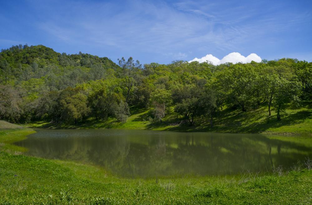 セントヘレナ Rustridge Ranch & Winery Bed & Breakfast エクステリア 写真