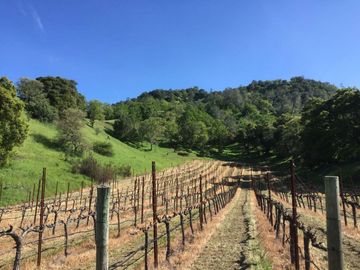 セントヘレナ Rustridge Ranch & Winery Bed & Breakfast エクステリア 写真