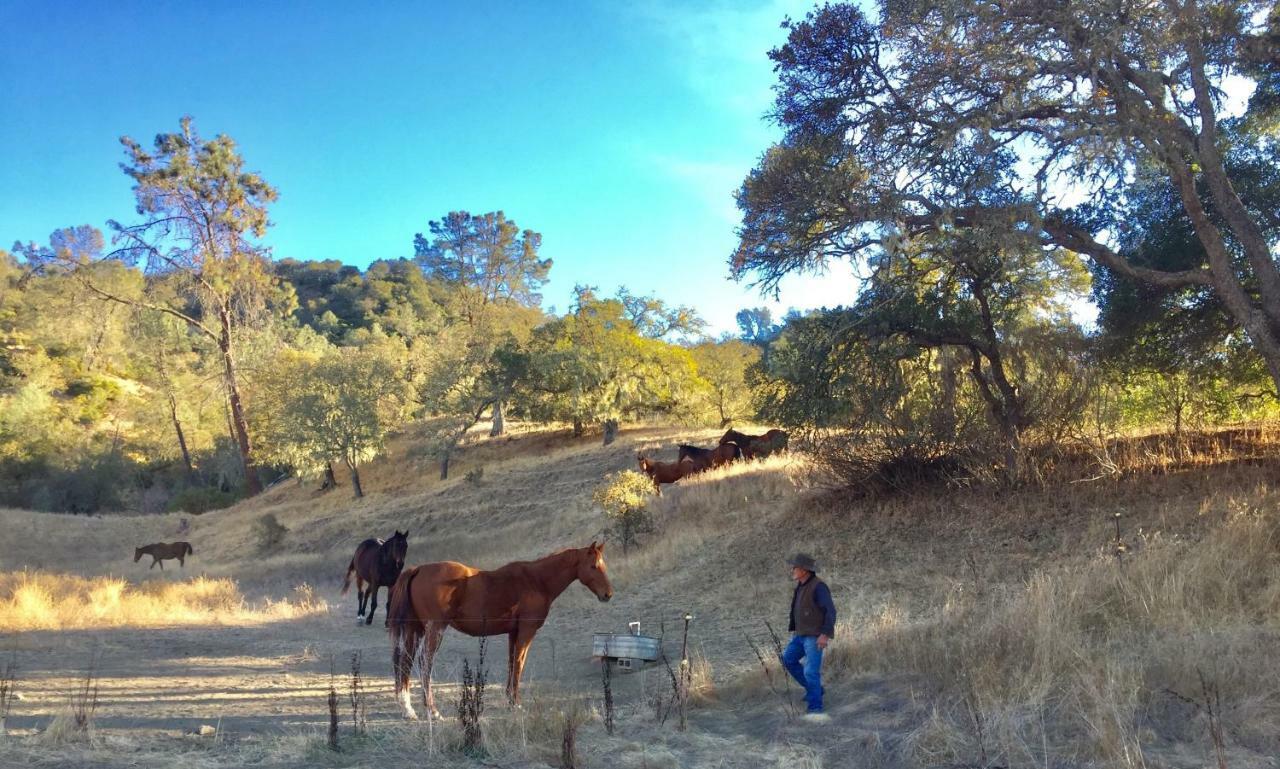 セントヘレナ Rustridge Ranch & Winery Bed & Breakfast エクステリア 写真