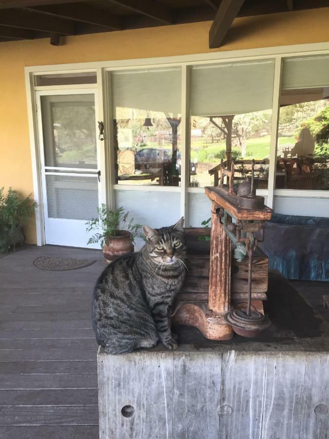 セントヘレナ Rustridge Ranch & Winery Bed & Breakfast エクステリア 写真