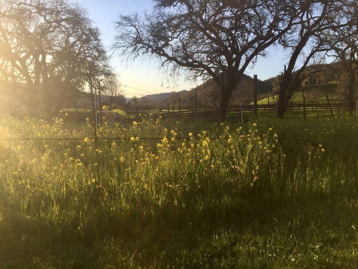 セントヘレナ Rustridge Ranch & Winery Bed & Breakfast エクステリア 写真